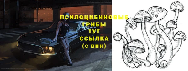 Альфа ПВП Белокуриха