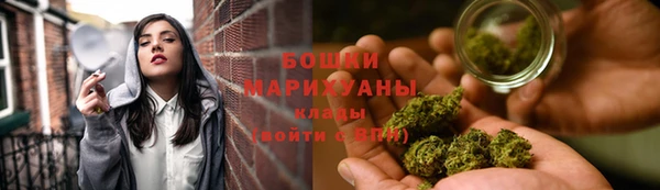Альфа ПВП Белокуриха